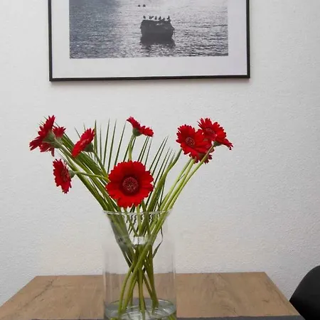 Apartment Mirta *